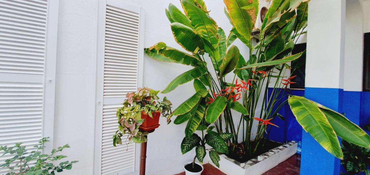Kelly Guest House プライア エクステリア 写真
